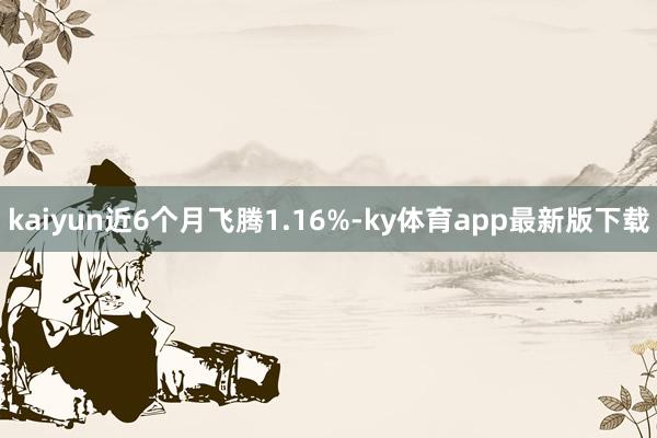 kaiyun近6个月飞腾1.16%-ky体育app最新版下载
