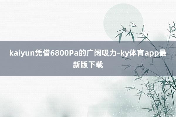 kaiyun凭借6800Pa的广阔吸力-ky体育app最新版下载