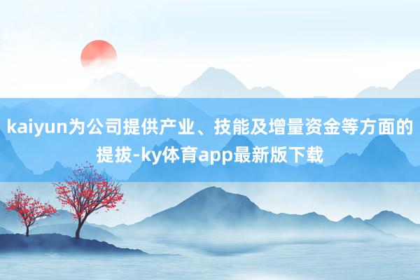 kaiyun为公司提供产业、技能及增量资金等方面的提拔-ky体育app最新版下载