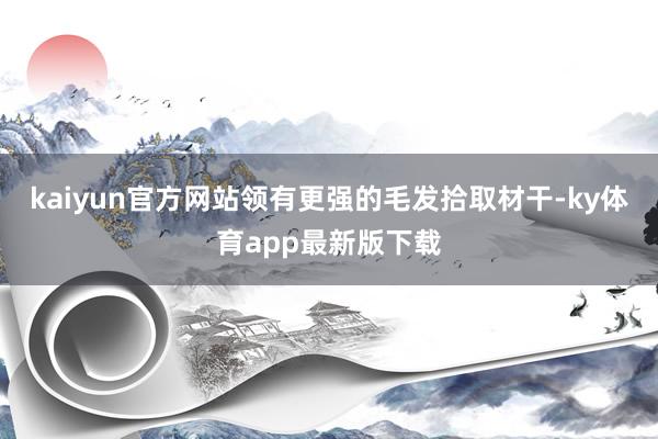 kaiyun官方网站领有更强的毛发拾取材干-ky体育app最新版下载