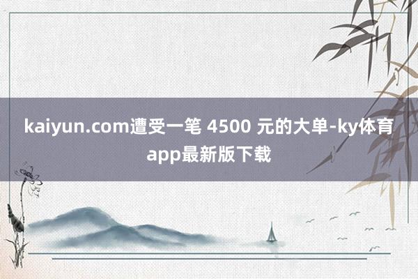 kaiyun.com遭受一笔 4500 元的大单-ky体育app最新版下载