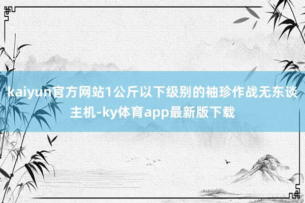 kaiyun官方网站1公斤以下级别的袖珍作战无东谈主机-ky体育app最新版下载