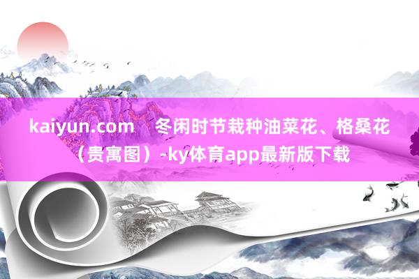 kaiyun.com    冬闲时节栽种油菜花、格桑花（贵寓图）-ky体育app最新版下载