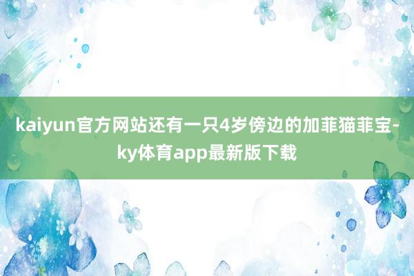 kaiyun官方网站还有一只4岁傍边的加菲猫菲宝-ky体育app最新版下载