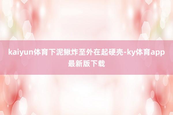 kaiyun体育下泥鳅炸至外在起硬壳-ky体育app最新版下载